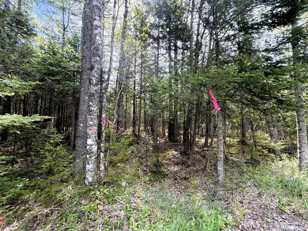 59 High Head Road East Machias ME 04630