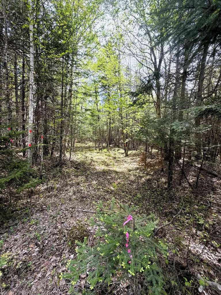 59 High Head Road East Machias ME 04630