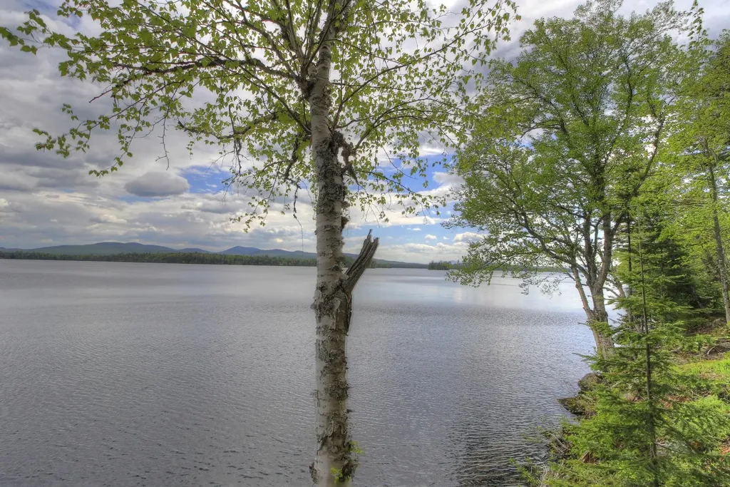 Lot 19 Herr Trail Adamstown Twp ME 04970