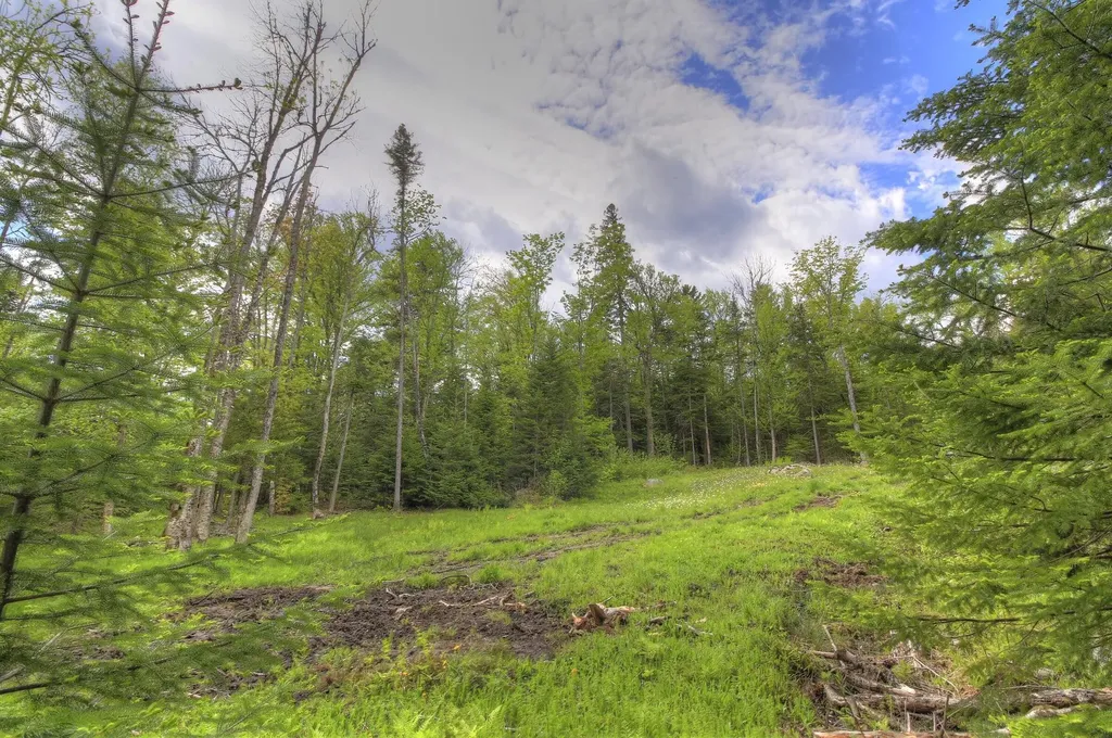 Lot 19 Herr Trail Adamstown Twp ME 04970