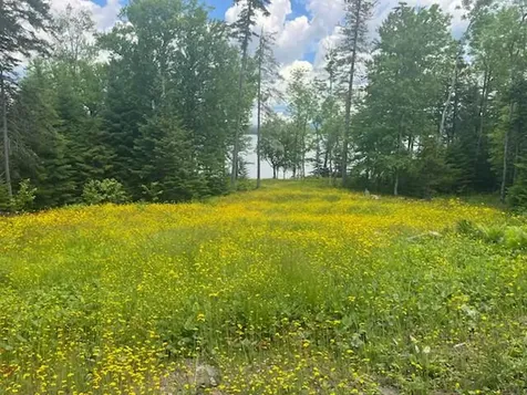 Lot 19 Herr Trail Adamstown Twp ME 04970