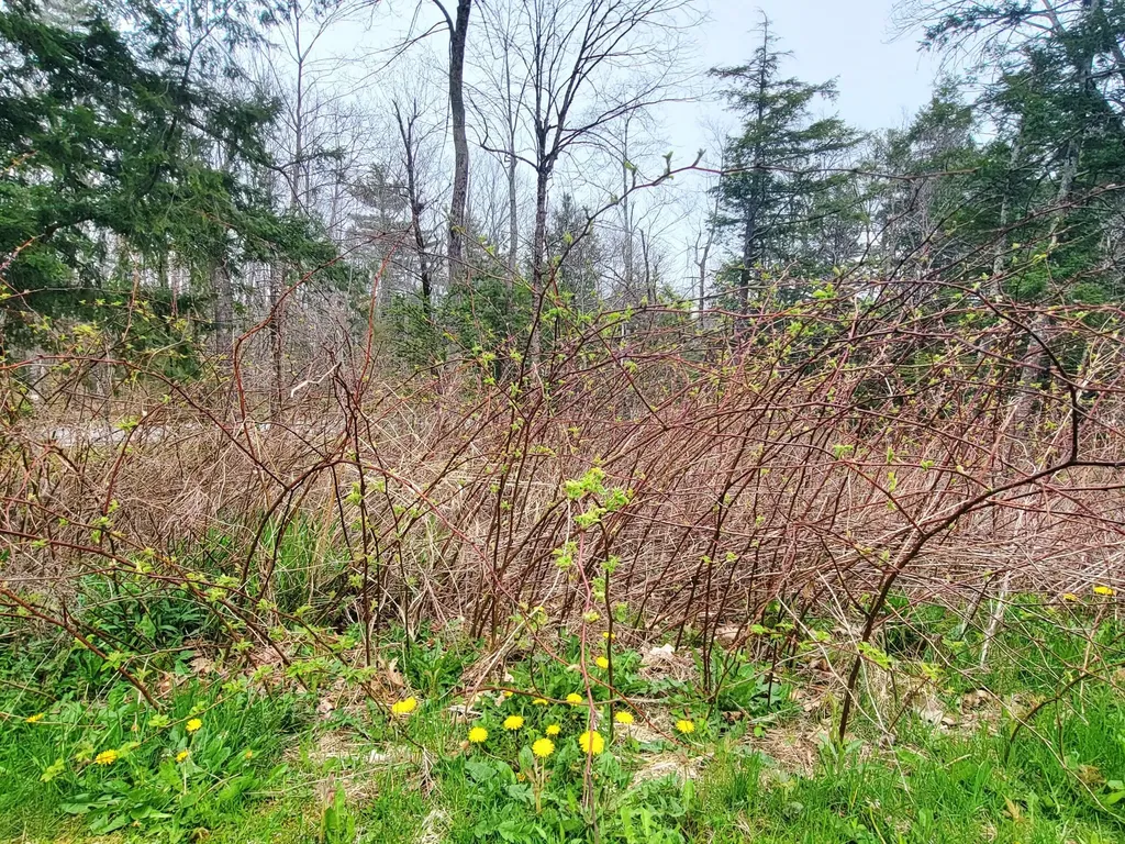 6 Skyscraper Hill Road Brooks ME 04921