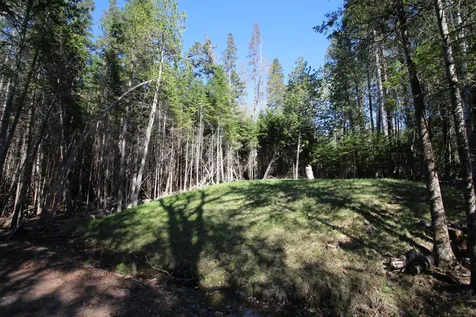 3 Heron Way Rangeley ME 04970