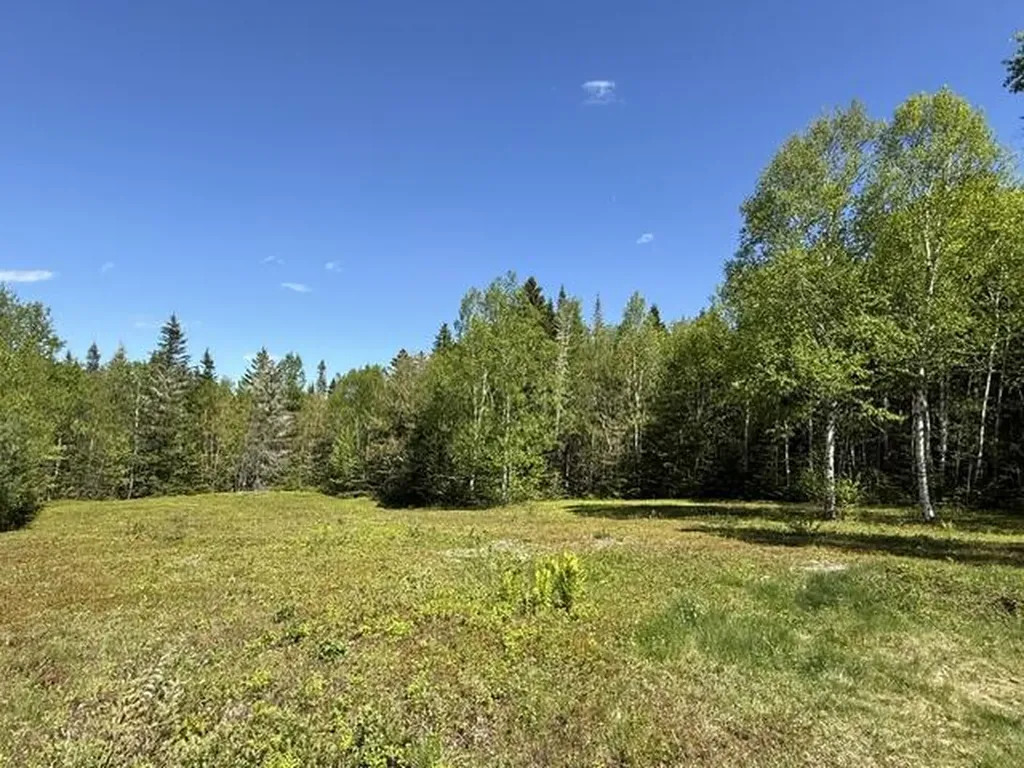 1175 Us-1 Robbinston ME 04671