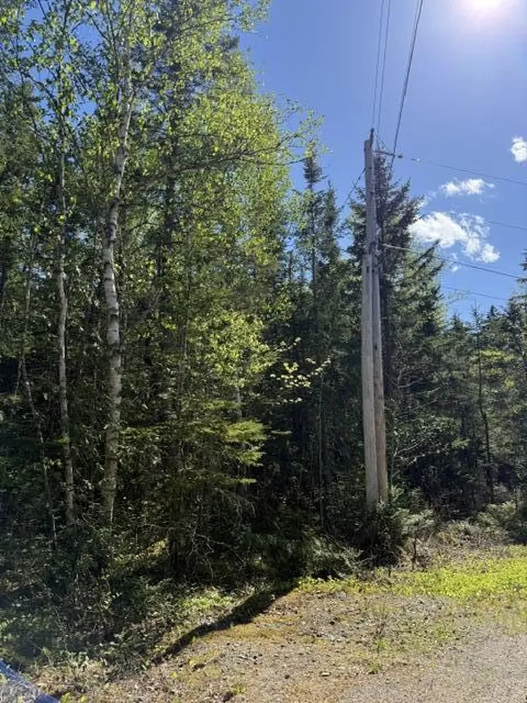 1175 Us-1 Robbinston ME 04671