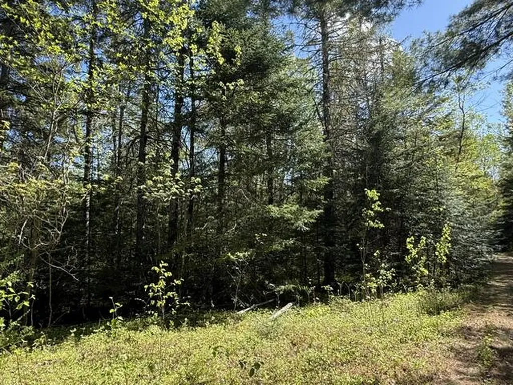 1175 Us-1 Robbinston ME 04671
