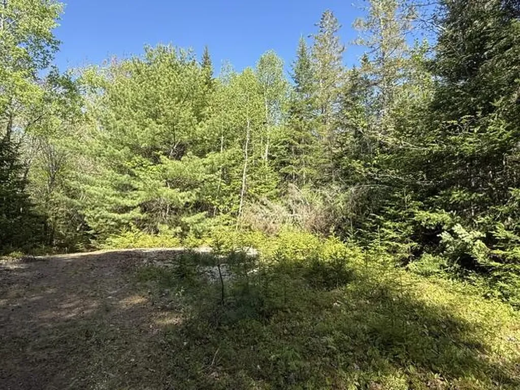 1175 Us-1 Robbinston ME 04671