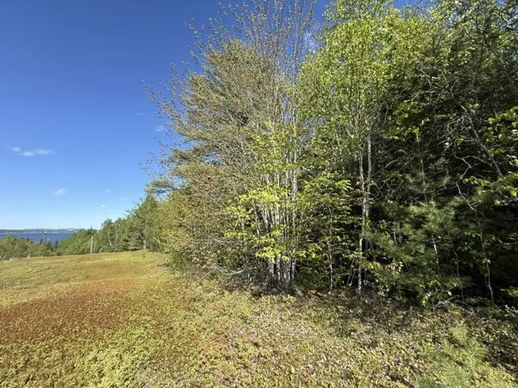 1175 Us-1 Robbinston ME 04671