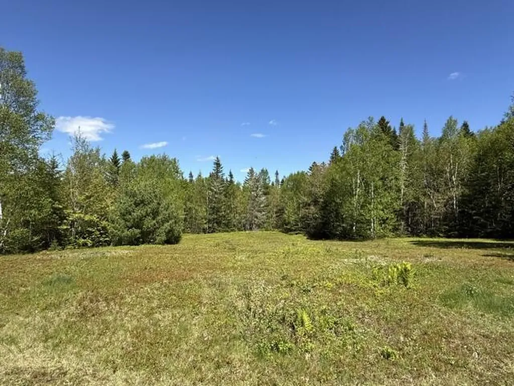 1175 Us-1 Robbinston ME 04671
