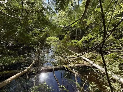 1175 Us-1 Robbinston ME 04671
