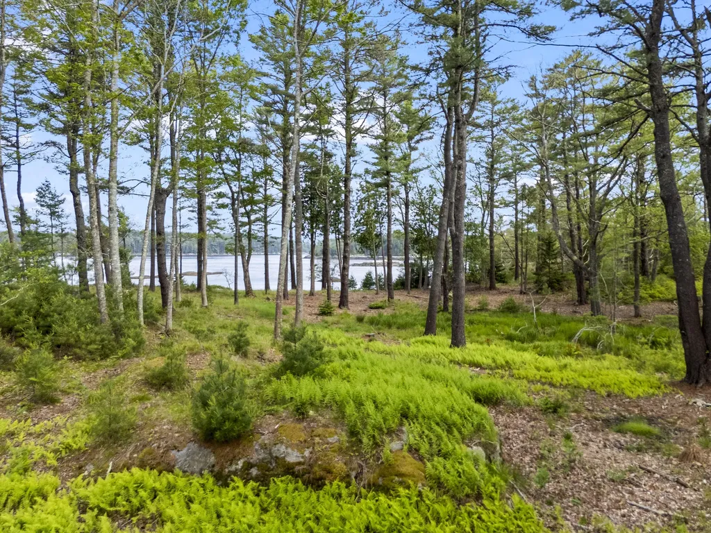 92 Brooks Cove Road Westport Island ME 04578