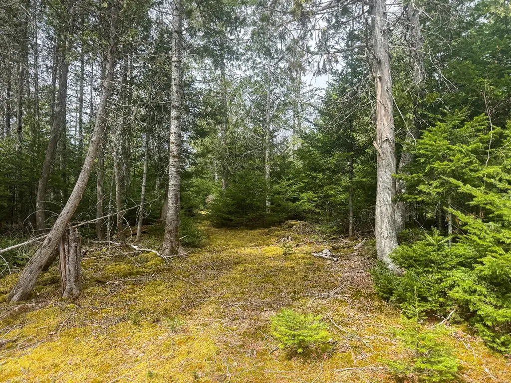 242 Bottle Lake Road Springfield ME 04487