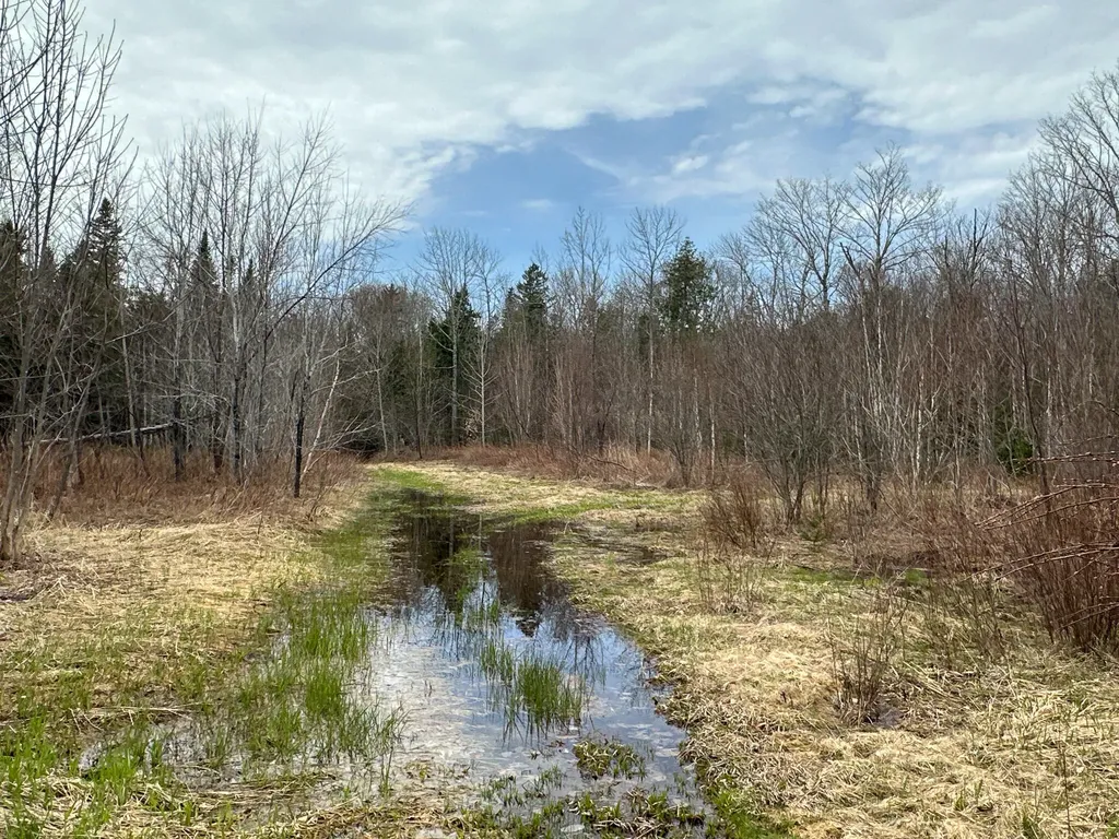 242 Bottle Lake Road Springfield ME 04487
