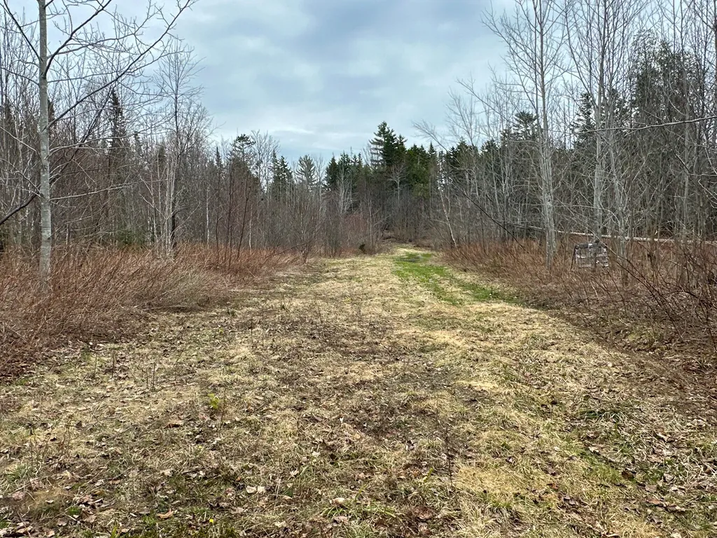 242 Bottle Lake Road Springfield ME 04487
