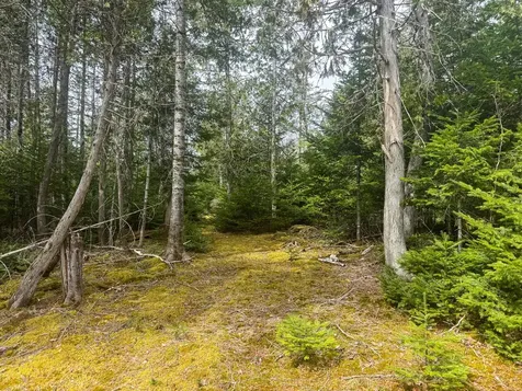 242 Bottle Lake Road Springfield ME 04487