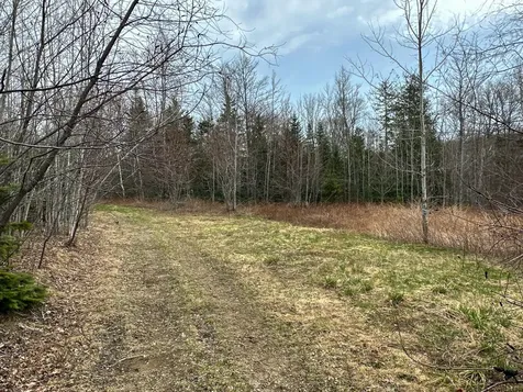 242 Bottle Lake Road Springfield ME 04487