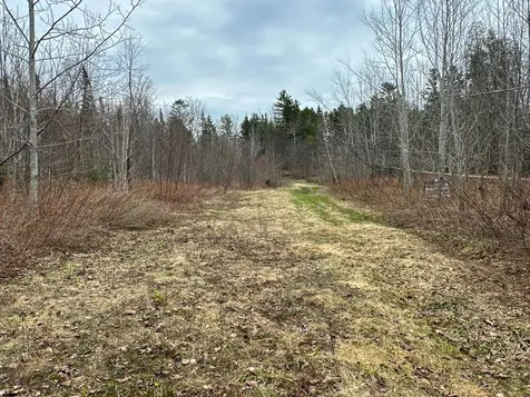 242 Bottle Lake Road Springfield ME 04487