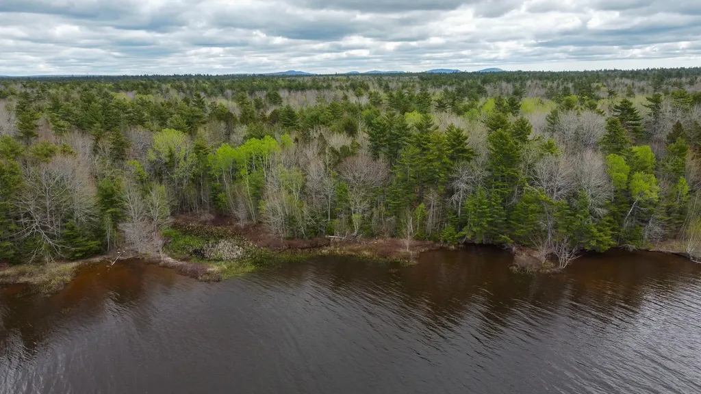 HA4PL3L17 Off Lily Way Fletchers Landing Twp ME 01072