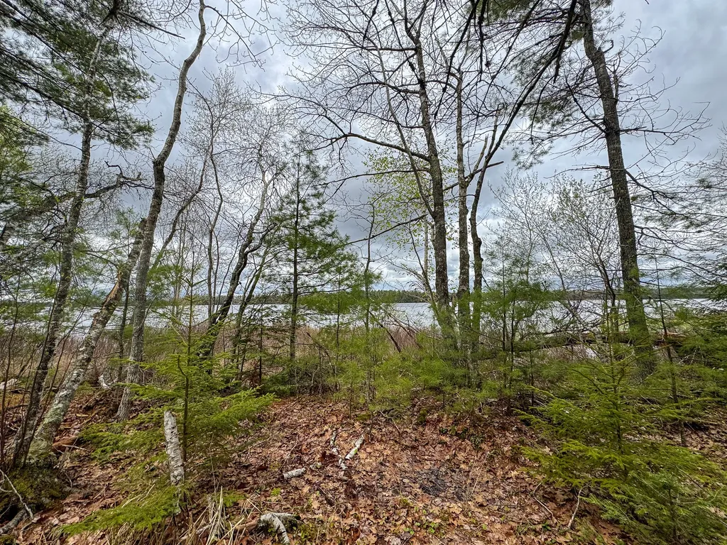 HA4PL3L17 Off Lily Way Fletchers Landing Twp ME 01072