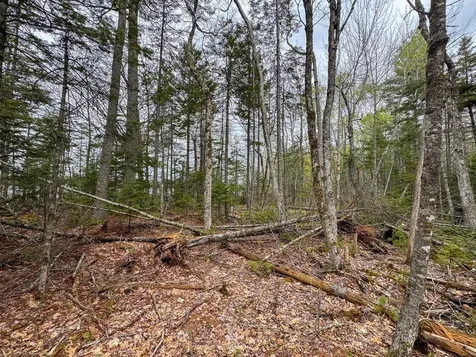 HA4PL3L17 Off Lily Way Fletchers Landing Twp ME 01072
