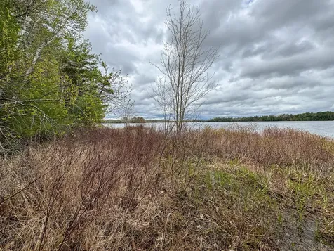 HA4PL3L17 Off Lily Way Fletchers Landing Twp ME 01072