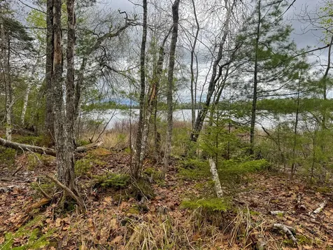 HA4PL3L17 Off Lily Way Fletchers Landing Twp ME 01072