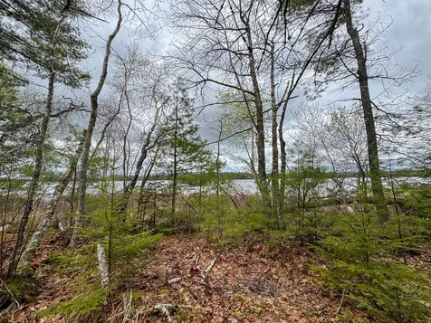 HA4PL3L17 Off Lily Way Fletchers Landing Twp ME 01072