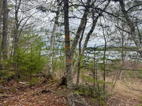 HA4PL3L17 Off Lily Way Fletchers Landing Twp ME 01072