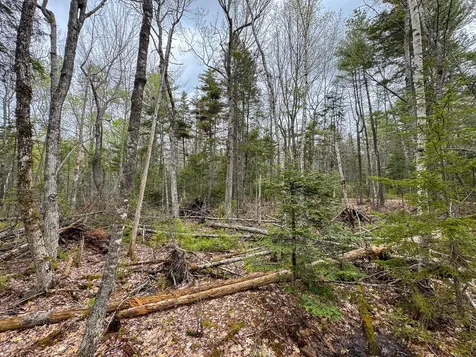 HA4PL3L17 Off Lily Way Fletchers Landing Twp ME 01072