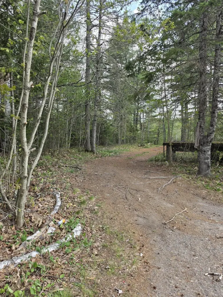 1452 Ridge Road Pembroke ME 04666