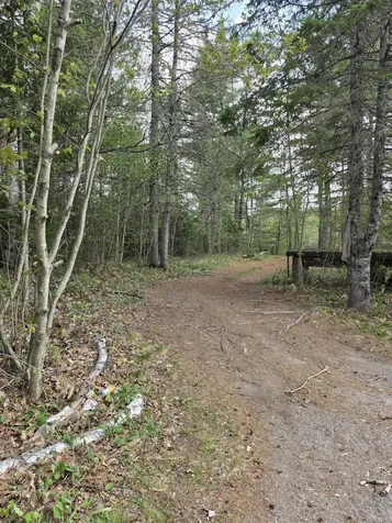 1452 Ridge Road Pembroke ME 04666