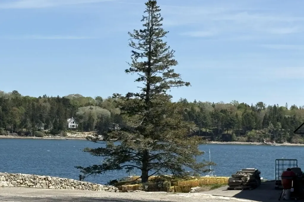 Lot 116010 Martin Point Road Friendship ME 04547