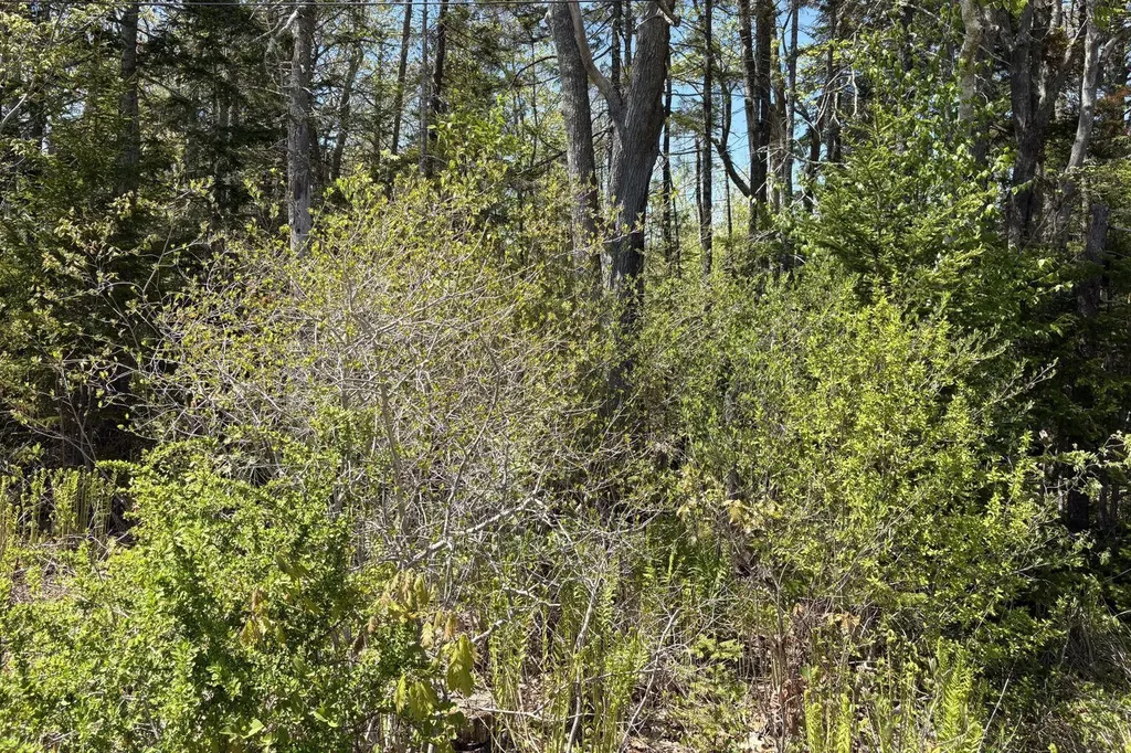 Lot 116010 Martin Point Road Friendship ME 04547