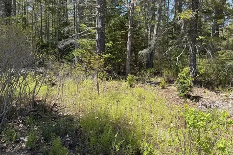 Lot 116010 Martin Point Road Friendship ME 04547