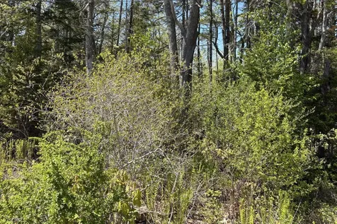 Lot 116010 Martin Point Road Friendship ME 04547