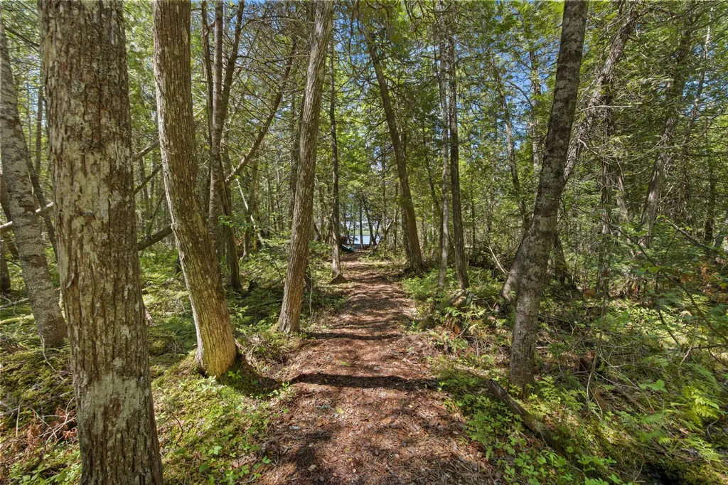 47 Cove Road Lincoln ME 04457