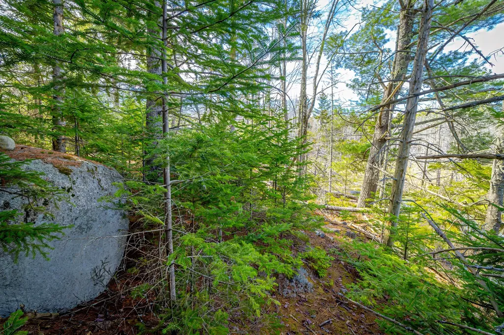 Lot 9 Bluff Road Bar Harbor ME 04609