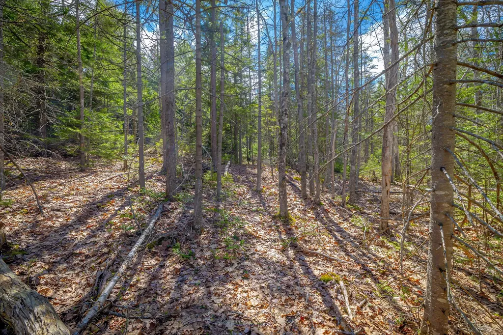 Lot 9 Bluff Road Bar Harbor ME 04609