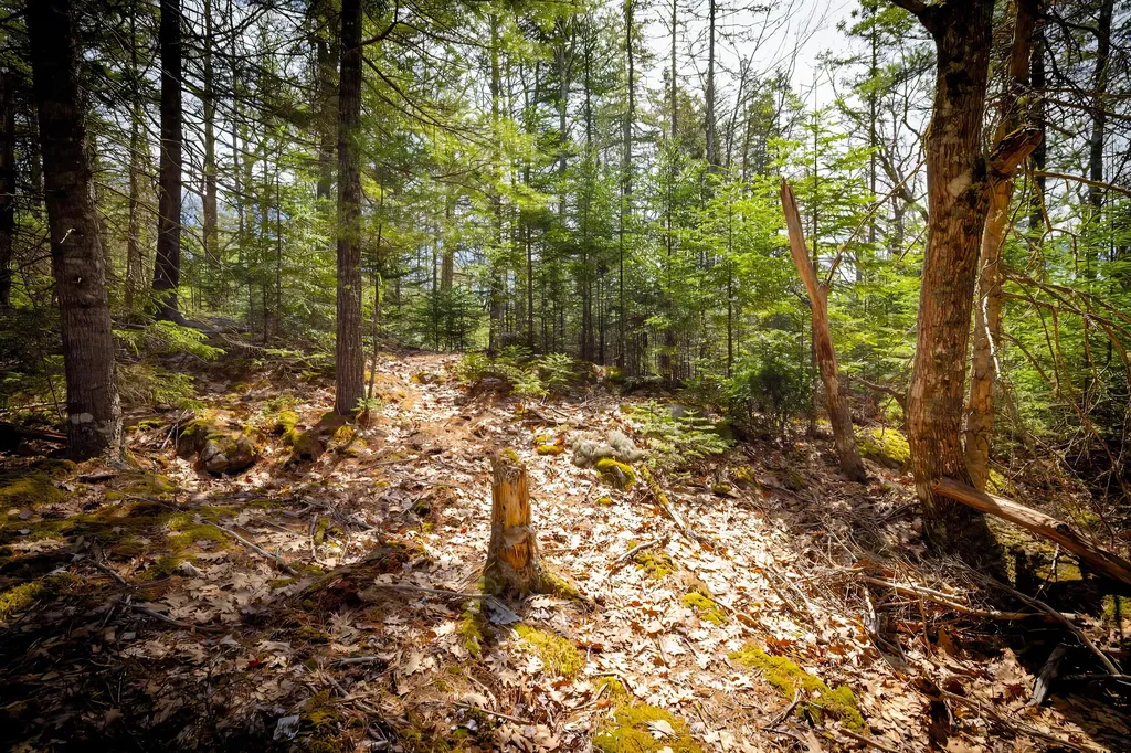 Lot 9 Bluff Road Bar Harbor ME 04609