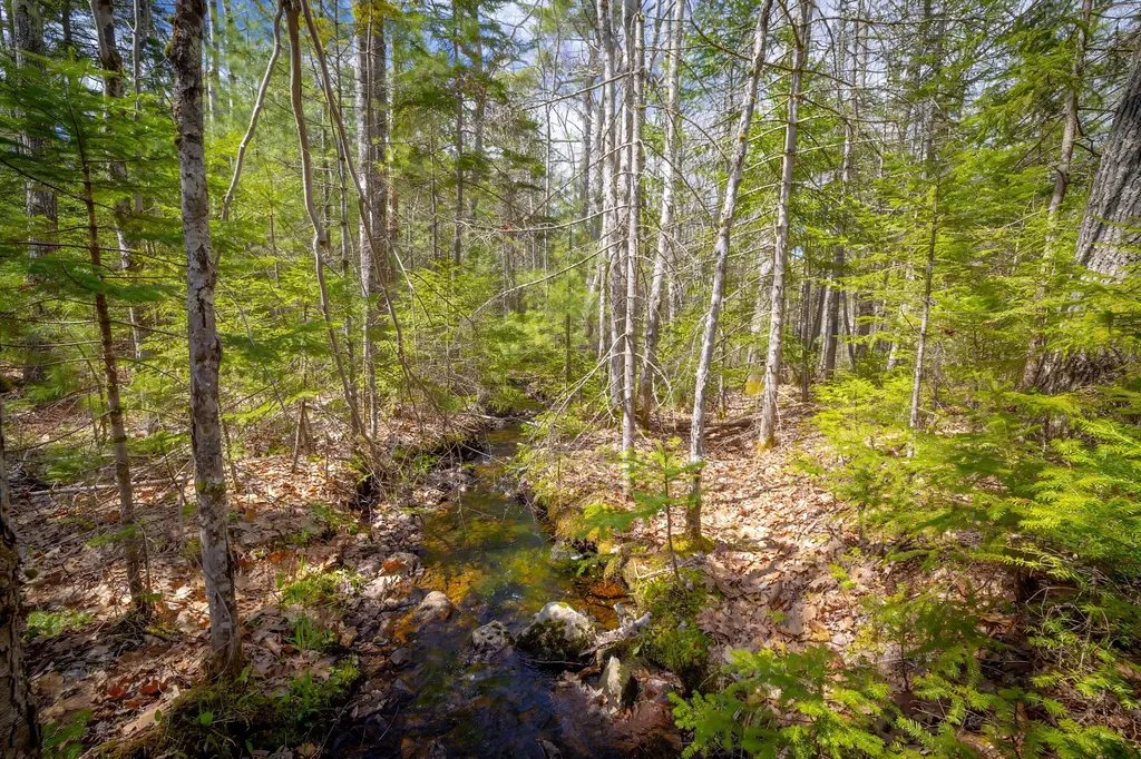 Lot 9 Bluff Road Bar Harbor ME 04609