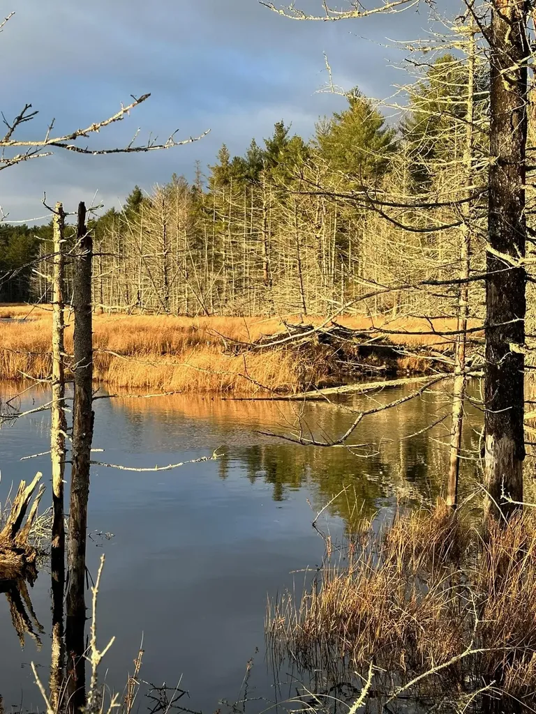 Lot 9 Bluff Road Bar Harbor ME 04609