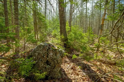 Lot 9 Bluff Road Bar Harbor ME 04609
