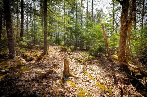 Lot 9 Bluff Road Bar Harbor ME 04609