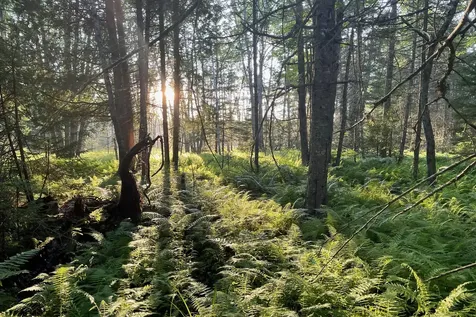 Lot 9 Bluff Road Bar Harbor ME 04609