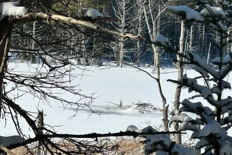 Lot 9 Bluff Road Bar Harbor ME 04609