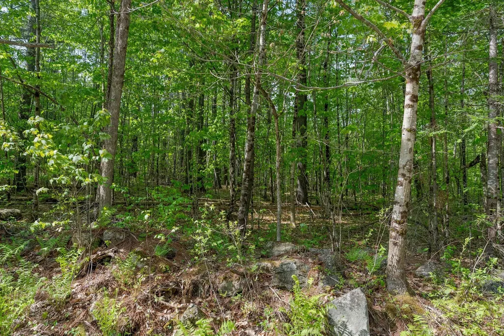 Lot C Shady Nook Road Newfield ME 04095
