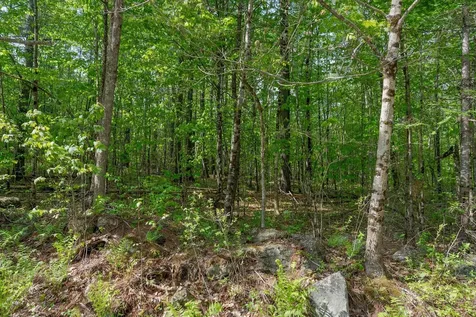 Lot C Shady Nook Road Newfield ME 04095