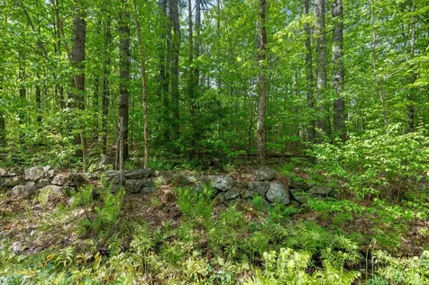 Lot C Shady Nook Road Newfield ME 04095