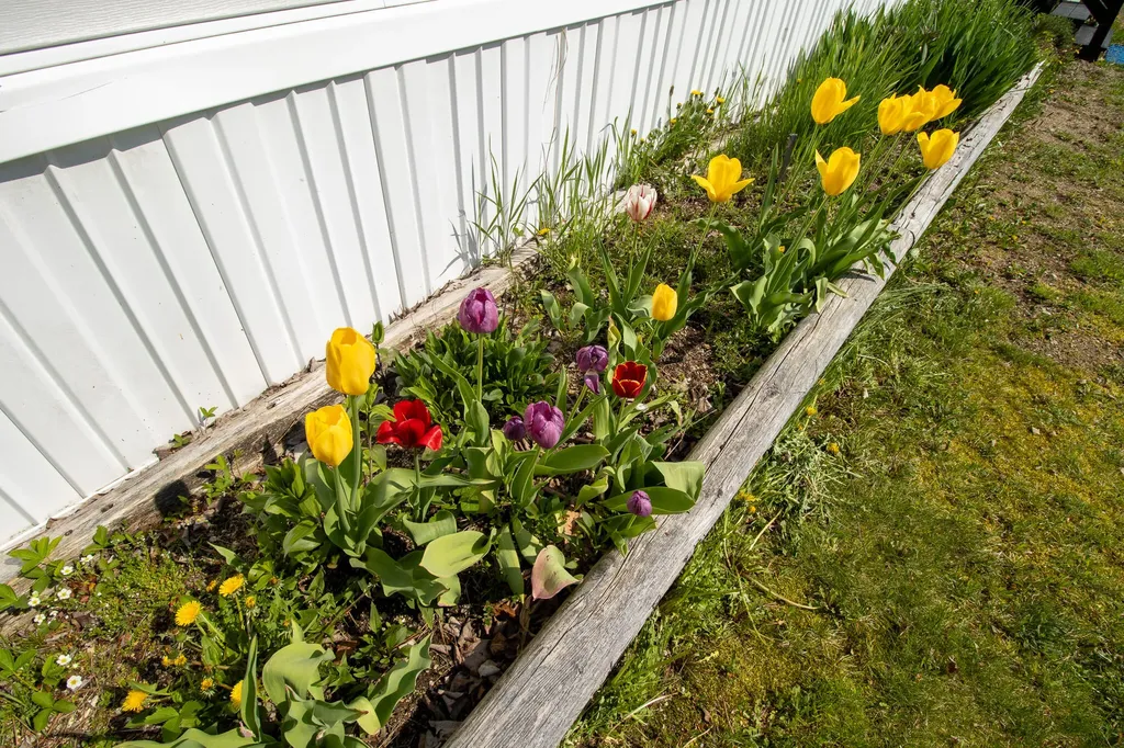 307 Hog Bay Road Franklin ME 04634