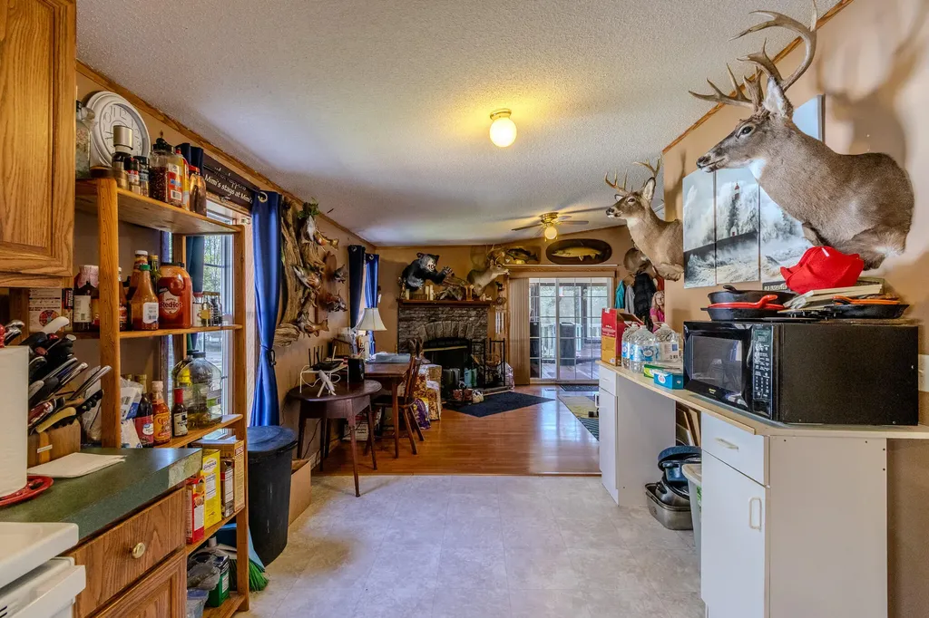 307 Hog Bay Road Franklin ME 04634